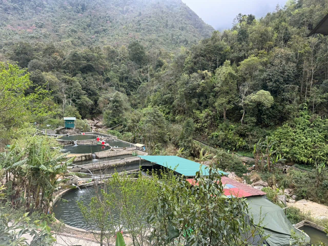 trang trai ca hoi